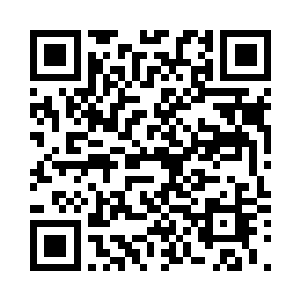 抓住这个机会直接拿出丹药吞了下去二维码生成