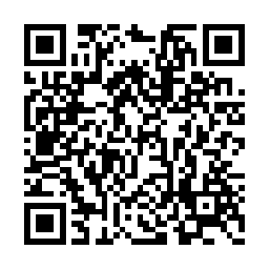 抓住那深受重创的禺狨王便朝着自己的嘴里塞去二维码生成