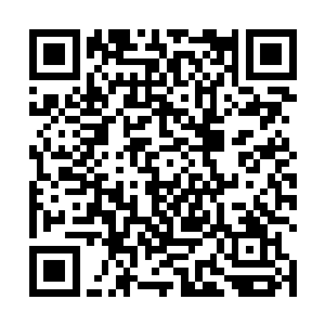 抓着我脚踝的不是人也不是鬼那只冰冷的手并没有主人二维码生成