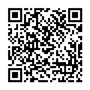 抓着洛基在空阔的地方自转就可以改变台风的走向二维码生成