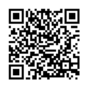 抓着老龟他们的手臂也一样被生生斩断了二维码生成