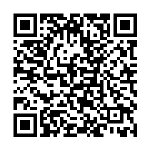 抓起他那只被玉宝儿轻轻握着仿佛只剩下皮包骨的手二维码生成