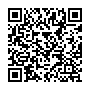 抓起枕头对这地下跪着的谢文俊狠狠的打了过去二维码生成