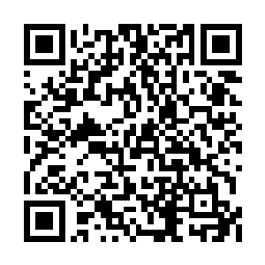 投射着从山努亚的思维褶皱深处提取出来的画面二维码生成