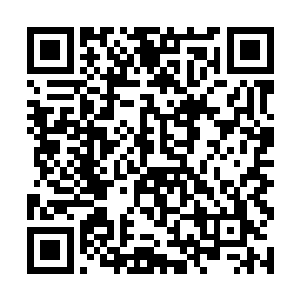 投机者站在街边一棵梧桐树下进行非正式交易的往事二维码生成