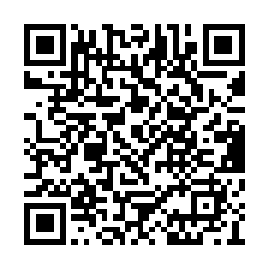 投资一百个亿开发东海市商业一条街的那个江帆二维码生成