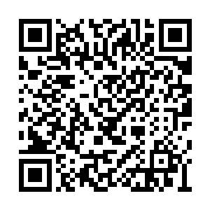 折损了七成以上最精锐的战舰和训练有素的精锐二维码生成