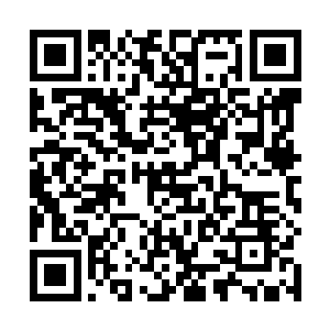 折袖在离开京都前一定要做的那件事情就是――杀周通二维码生成