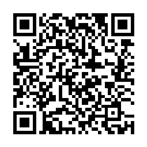 折袖没有道理为了一个推论在这片墓地里忍耐这么多天二维码生成