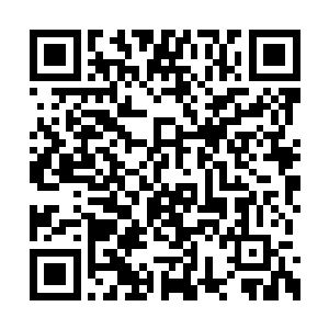 折袖说过要加钱……我想这钱还是应该由我来出二维码生成