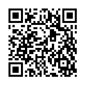 抚摸了一下还在他身边飞舞着的金圣和银圣二维码生成