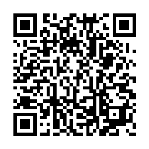 抛飞到九霄云外的脑浆又重重砸回到了脑壳当中二维码生成