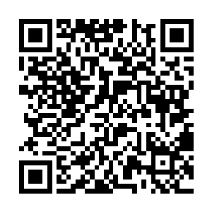 抡起了手中的行李箱带着呼呼风声朝着二人砸了过去二维码生成