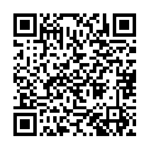 抡起拳套便朝距离自己最近的一个修士轰击下去……二维码生成