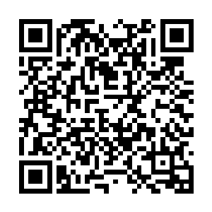 护体剑气也在震石波动剑的震荡余波之下瞬间破碎二维码生成