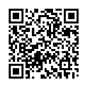 护卫着他们的车队驶入了一座恢弘的宫殿二维码生成