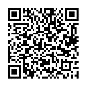 护国公主当日肯定也知道燕正天并不适合那个位置二维码生成