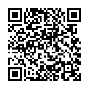 护着两个道源境厮杀不出性命之忧还是没什么问题的二维码生成