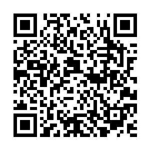 护短的毕温良一定会用各种手段来达到徒弟的心愿二维码生成