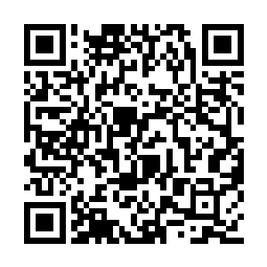 护院那边的院子叶芷蔚有意没有按排伺候的下人二维码生成