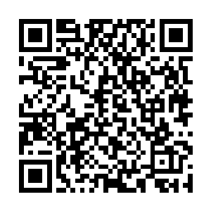 报告的内容全部是由专门的人员结合光脑计算得出的二维码生成