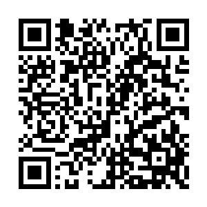 报着慕容仙儿以最快的速度来到黄泉山脉最深处二维码生成