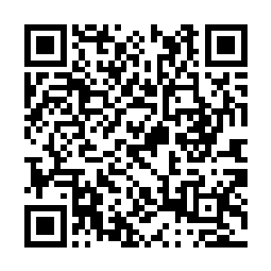 报讯的斥候精疲力竭地在战场上传递着各方的消息二维码生成