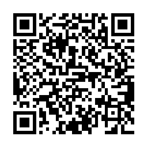 报说在诛虎长原附近方圆数十里皆不见有川军埋伏的迹象二维码生成