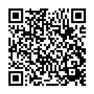报道了江苏地方士绅在内阁的大佬张謇家里发生的是事情二维码生成