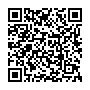 抬头一看是许浩然・便兴奋地从地上跳了起来道二维码生成