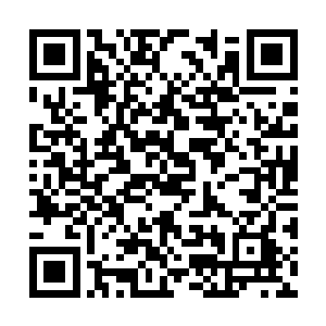 抬头再次看了而看雨果那长出一层薄薄绒毛的脑袋二维码生成