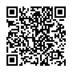 抬头可以清晰的看到这些千足虫腹部上那密密麻麻的脚关节二维码生成