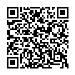 抬头就看见了丁二狗提着大包小包的东西进来了二维码生成