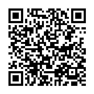 抬头愣愣的看着前面杀马特重瞳子腿上还带着裤子上的两个颜色二维码生成