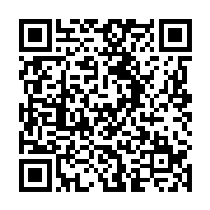 抬头望着天边的明月不由自主的想起了这一年多的日子二维码生成