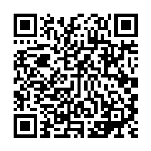 抬头果然看到那白纱下露出的一对美丽的妙目中掠过的一丝怨恨二维码生成