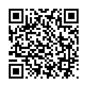 抬头看了看状似安全无人职守的宫墙二维码生成