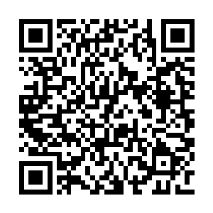 抬头看着远处那片覆盖着皑皑白雪的山巅的情况二维码生成