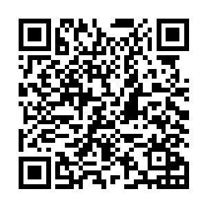 抬目看着那个遮天一般的巨掌向着他的头顶拍落了下来二维码生成