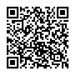 抬眼就看见了放在黄花梨木花台上的两盆水仙花二维码生成