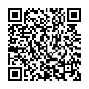 抬着一个满嘴呻吟声不止的小矮子就飞快地来到了柯震的跟前二维码生成