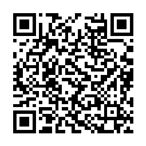 抬起大脚就狠狠的往布尔维克的身上一阵乱踢乱踏二维码生成