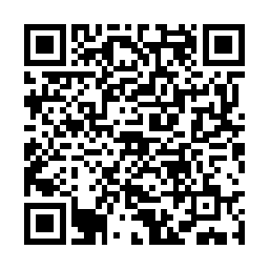 抬起头就看见小鹿鹿笑得官方甜地站在简洛诗面前二维码生成