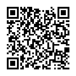 抬起手对着南宫凤鸾的脖子直接一个手刀砍了下去二维码生成