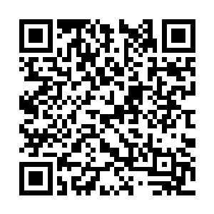 抱了又哭又笑涕泪满脸的吴梦溪起身对王妃敬个礼二维码生成