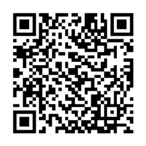 抱歉……我没想到一个偷听并擅自加入别人谈话的人二维码生成