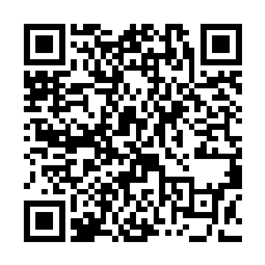 抱着在咕仔附体那外人之后瞬间又窜入我怀中的白狐二维码生成