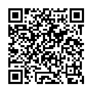 抱着她的手臂在听到沈婉瑜软软濡濡的声音时收紧了几分二维码生成