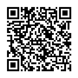 抱着征启年这种想法而对卢向东敬而远之的还大有人在二维码生成