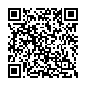 抱着早先准备好的欧阳璟命人去换给她的细麻布二维码生成